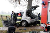 Śmiertelny wypadek w Małych Rudach. 18-latek bez prawa jazdy uderzył w drzewo [zdjęcia]