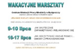 Wakacyjne warsztaty