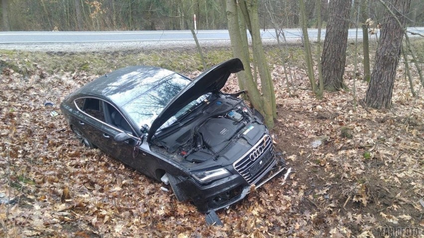 Wypadek audi w Smolarni. Podróżujący samochodem byli pijani.