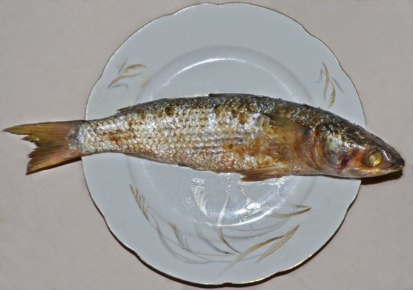 Kolejna  śmiercionośna ryba, uwielbiana przez Egipcjan,...