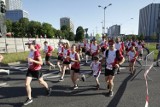 Katowice: 1 maja Bieg Bohaterów i Silesia Półmaraton. Będą utrudnienia