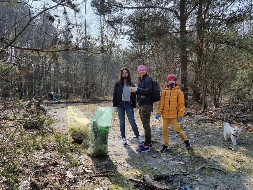 Szok! Prawie 4 tony śmieci w lesie przy ulicy Iłżeckiej. Zbierali je wolontariusze z Ostrowca (ZDJĘCIA)