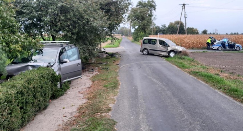 Do zdarzenia doszło na drodze gminnej w Pułkownikowie (gm....