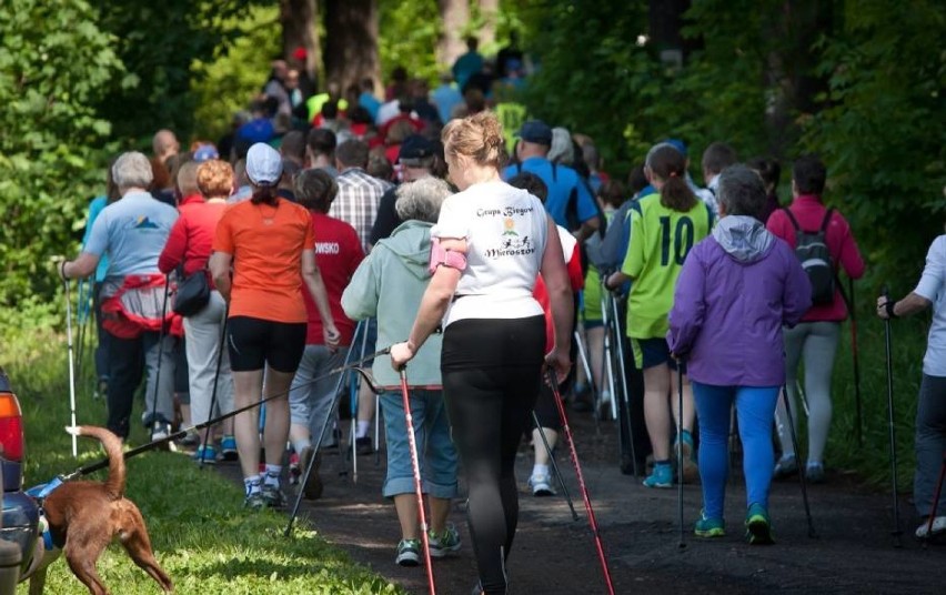 Wałbrzych: Propozycje na weekend (sobota - niedziela, 10 - 11 listopada)