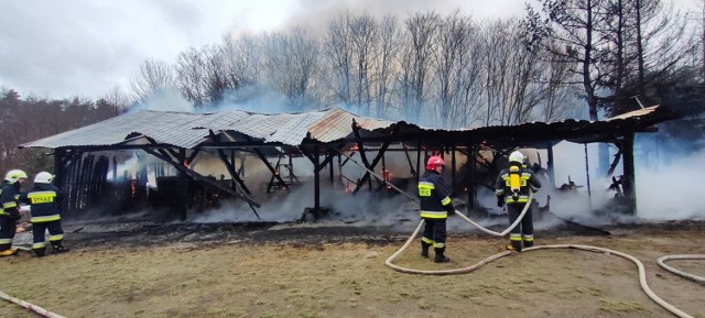 Pożar w miejscowości Dobra