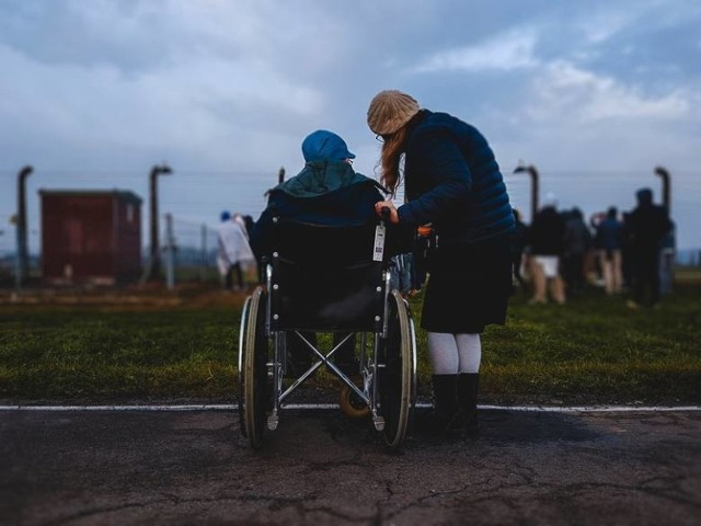 "500+ dla niesamodzielnych" to okazja także dla seniorów na kolejne pieniądze. Do tej pory już prawie 400 tysięcy osób skorzystało z tego świadczenia. O pieniądze skutecznie mogą się starać również emeryci, którzy musza spełnić pewne warunki. Chodzi między innymi o próg dochodowy, którego nie można przekroczyć, by ubiegać się o świadczenie. Kto ma szansę na dodatkowe pieniądze?

Czytaj dalej. Przesuwaj zdjęcia w prawo - naciśnij strzałkę lub przycisk NASTĘPNE