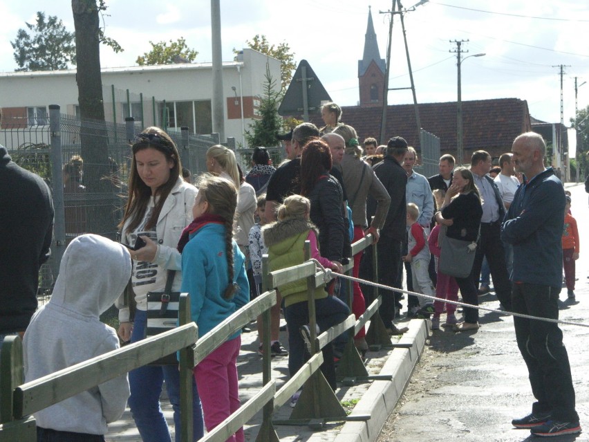 XX Bieg Sokoła w Kobiernie - 2015