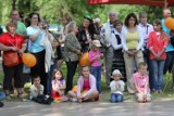 Piknik żeglarski na Stawach Stefańskiego. Zobacz, jak bawili się łodzianie [zdjęcia+wideo]