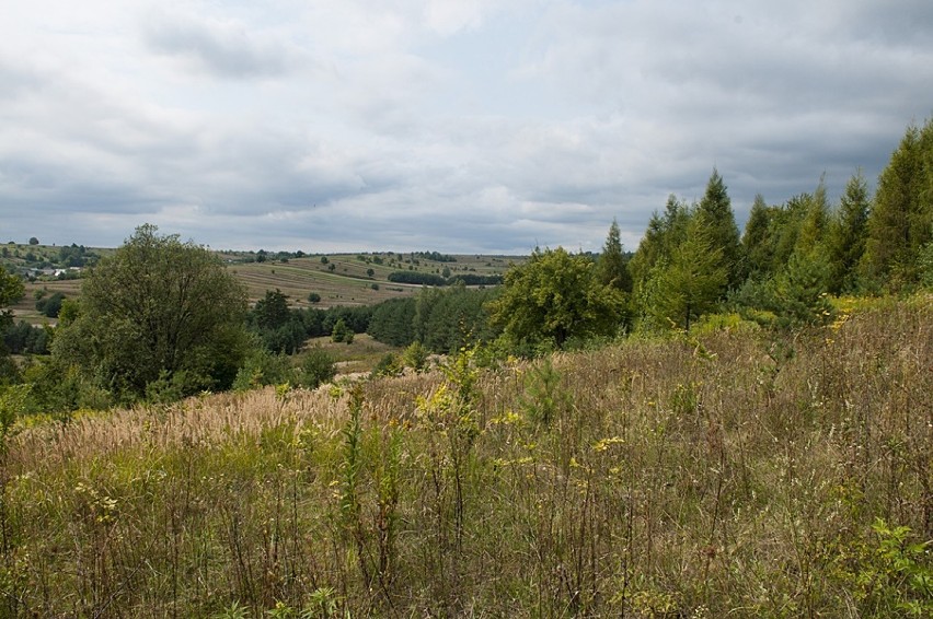 Zwierzyniec. Przesunęli taras widokowy na Bukowej Górze, by...