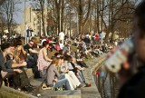 Oceń nowy regulamin wrocławskich parków (GŁOSOWANIE)