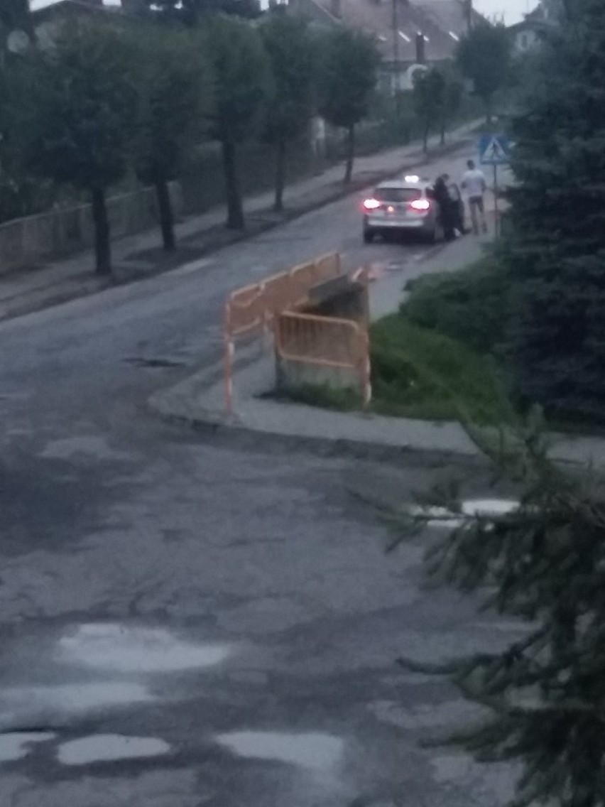 Michorzewo: Auto wjechało do stawu