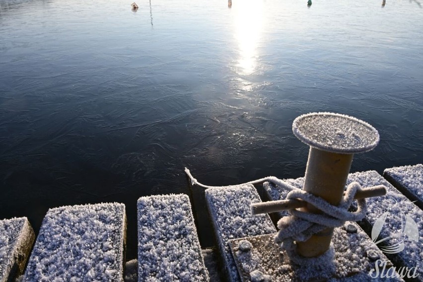Na Jeziorze Sławskim pojawiła się cienka warstwa lodu