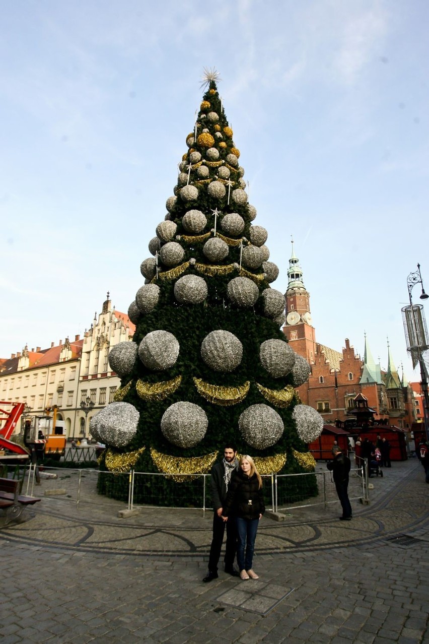 Wrocław: Na Rynku choinka już stoi. Rozbłyśnie 6 grudnia (ZDJĘCIA)