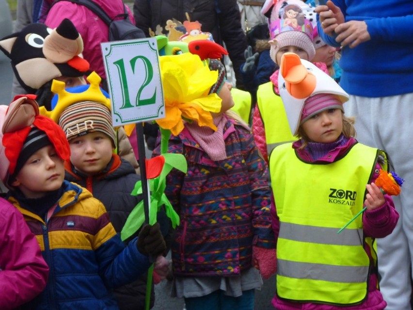 W Koszalinie oficjalnie otwarto I Dziecięcy Festiwal Sztuki...