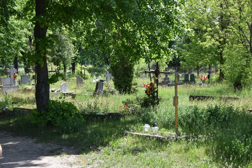 Piła. Stary cmentarz przy al. Powstańców Wlkp. w dużej części jest zaniedbany. Zobaczcie zdjęcia