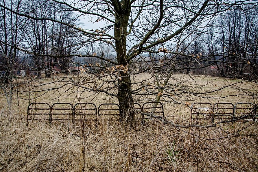 Wałbrzych: Zapomniany park na Poniatowie (ZDJĘCIA)