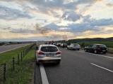 Wzorowy korytarz życia na autostradzie A1 pod Grudziądzem. Strażacy: "Wielkie brawa dla kierowców"