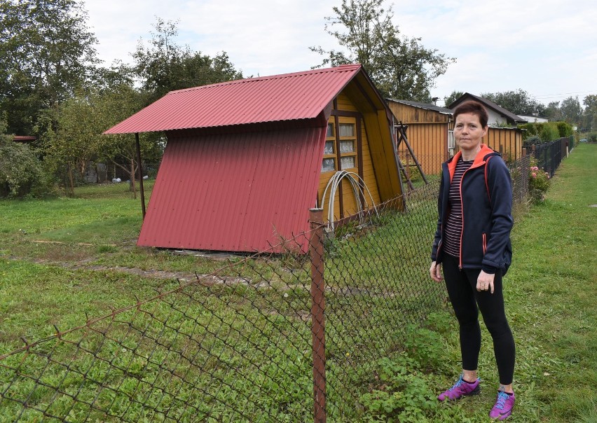 Anna Tomalik działania Zarządu ROD "Stare Stawy" uważa za...