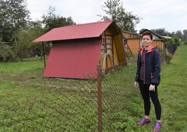 Anna Tomalik działania Zarządu ROD "Stare Stawy" uważa za bezpodstawny atak i zawłaszczenie mienia