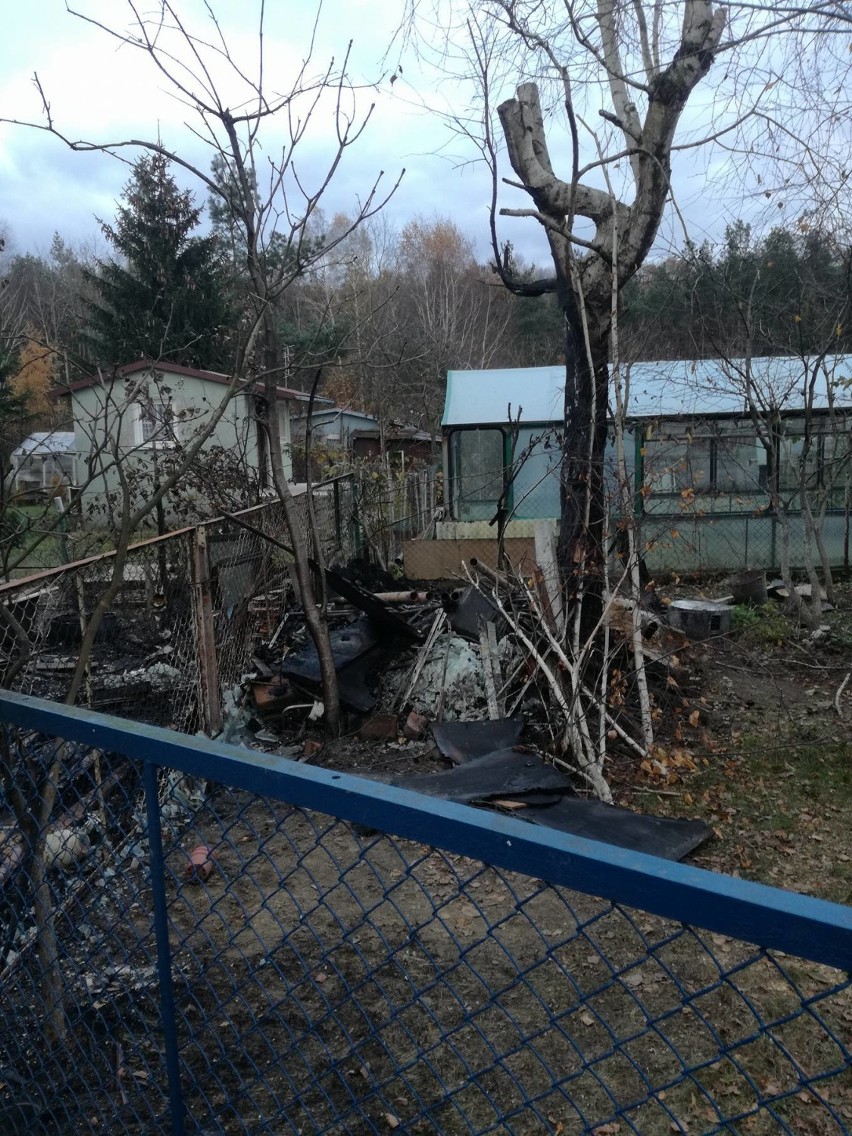 Częstochowa: Pożar na terenie ogródków działkowych FOTO