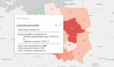 Koronawirus. Jak wygląda sytuacja epidemiologiczna w p. sławieńskim i w regionie? Dane na 10.07.2021