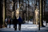 Zima w Wałbrzychu i Szczawnie - Zdroju. Fotograficzne migawki z mroźnego popołudnia ZDJĘCIA