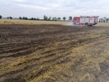 Gmina Dobrzyca. Strażacy zmagali się z pożarem ścierniska w Fabianowie