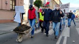 Kronika wydarzeń z 2020 roku w Piotrkowie: co się wydarzyło w mijającym roku w mieście i powiecie [ZDJĘCIA]