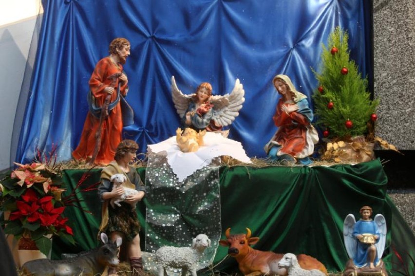 Szopka bożonarodzeniowa w Kościele Najświętszej Maryi Panny...