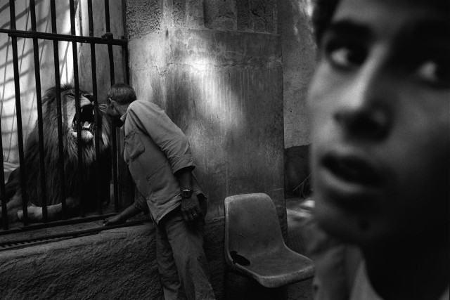 Michel Vanden Eeckhoudt, Cairo, 1993