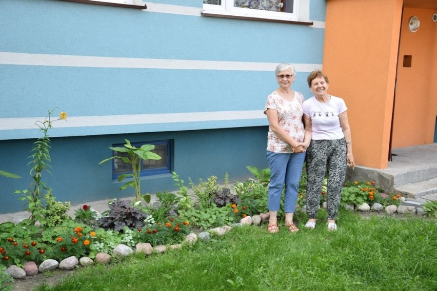 Konkursowe ogrody i balkony mieszkańców Radomska [2018]