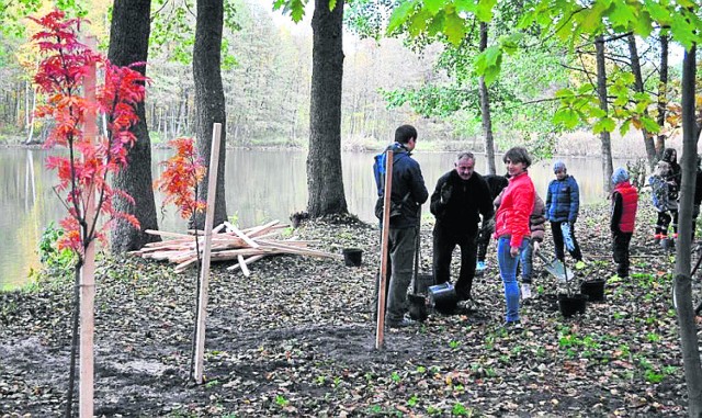 „W harmonii z przyrodą”  to akcja Fundacji Naprawdę Warto