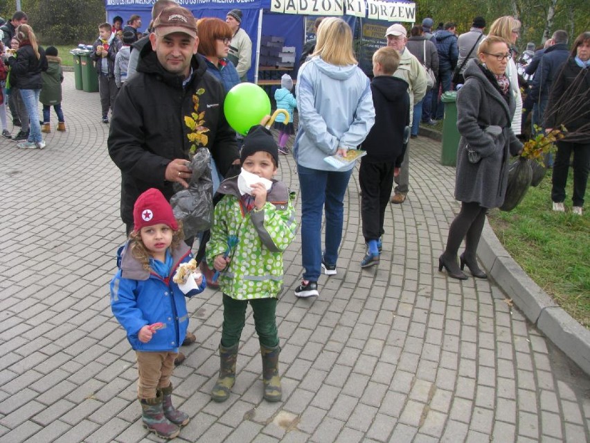 Święto Drzewa w Ostrowie [FOTO]