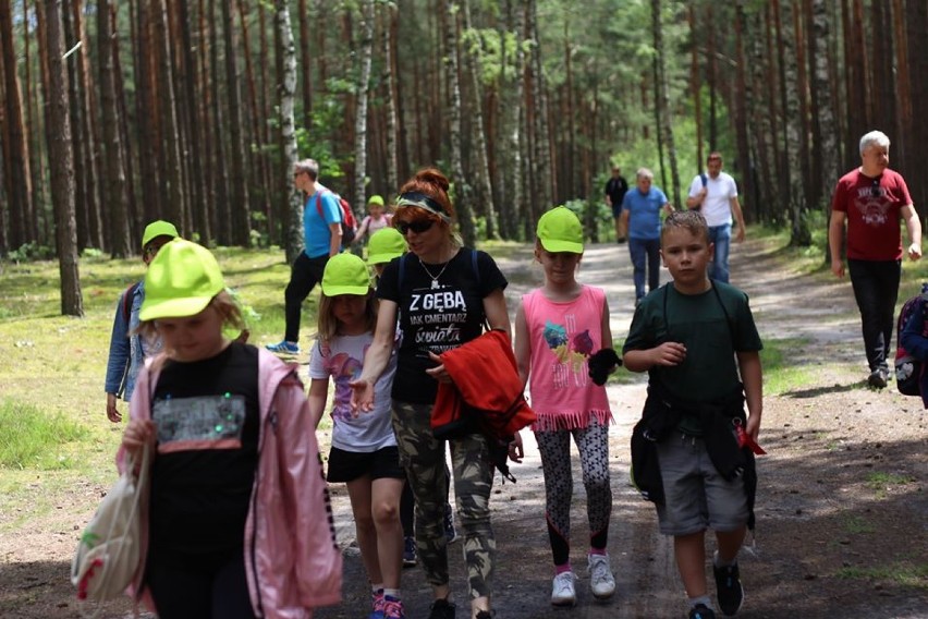 Wakacje w Wieluniu. Uczestnicy półkolonii PMDKIS podziwiali uroki Załęczańskiego Parku Krajobrazowego ZDJĘCIA