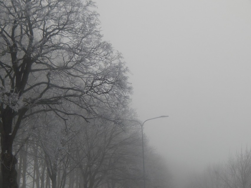 Mgły osadzające szadź i złe warunki atmosferyczne w Ustce i w regionie [ZDJĘCIA]