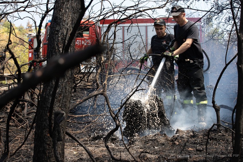 Wolsztyńscy strażacy w Grecji. Relacja z kolejnego dnia walki z żywiołem [FILM][ZDJECIA]