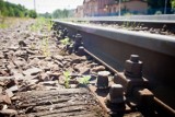 Wykolejenie pociągu w Pszczynie, utrudnienia na trasie kolejowej