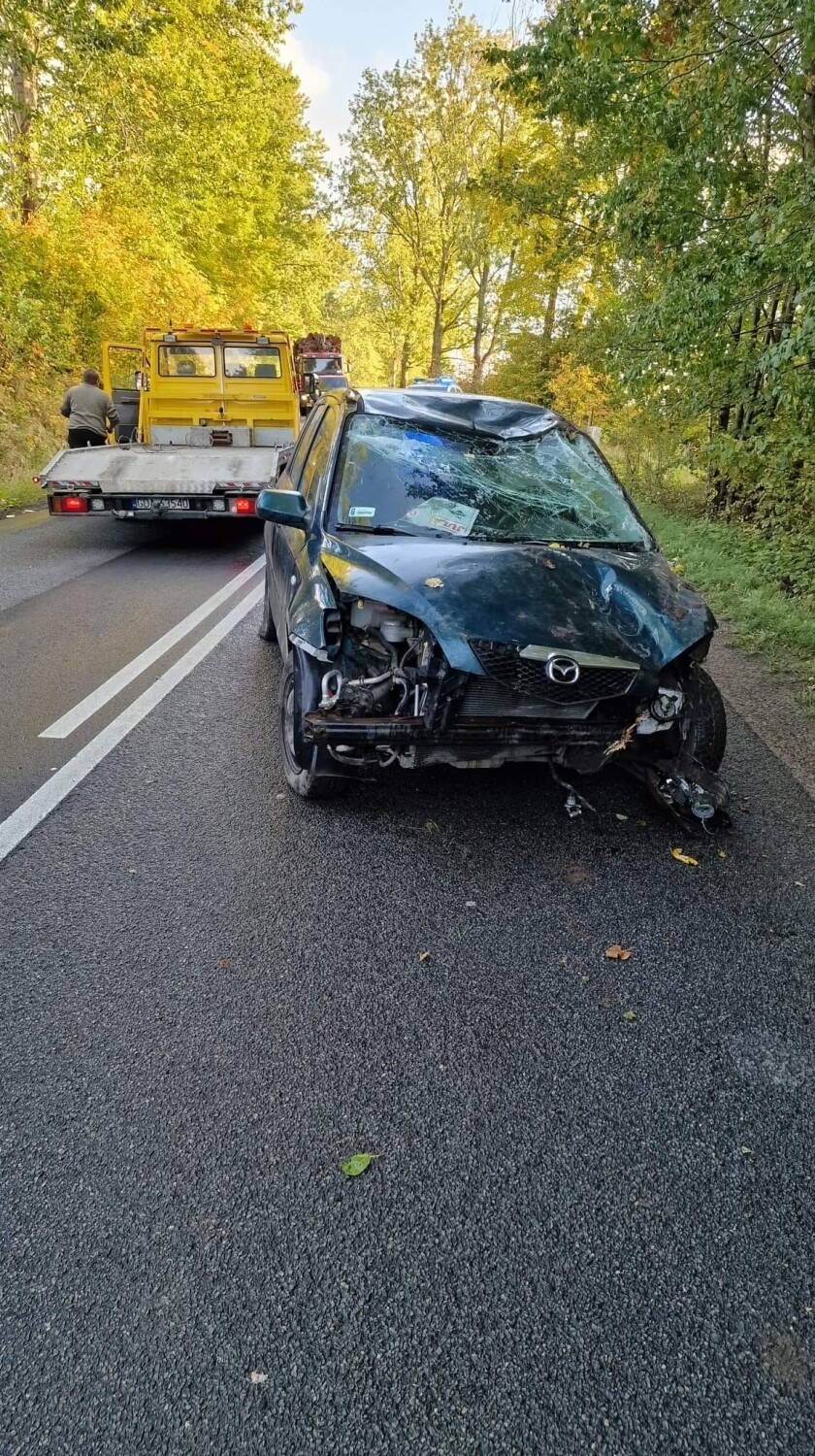 Gmina Przywidz. Wypadek samochodowy w Pomlewie. Potrącenie dzika |ZDJĘCIA