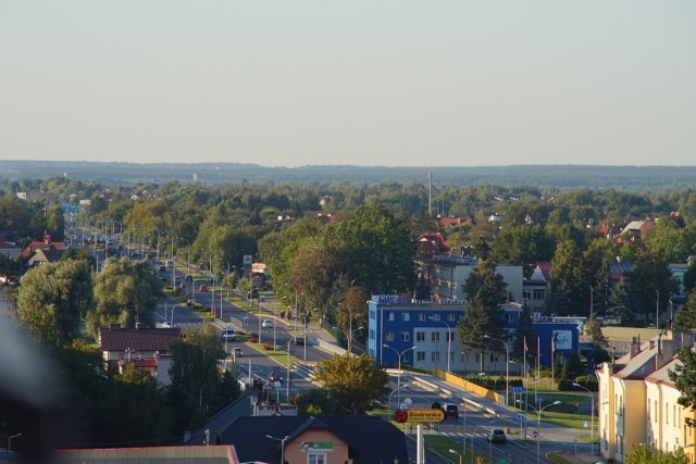 Na 66 miast na prawach powiatu w Polsce Rzeszów w zakresie ekologii zajął 6. miejsce
