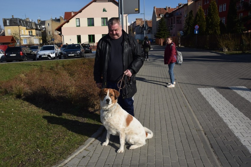 Pan Marek z owczarką Zuzą chwali pomysł z pojemnikami, ale...