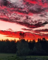 Czerwone niebo nad Kaszubami. Zobaczcie wyjątkowe zdjęcia Anny Nideckiej [ZDJĘCIA]