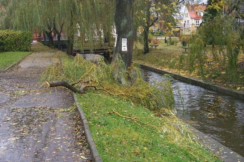 Załamanie pogody w powiecie szczecineckim. Będzie potężnie wiało 