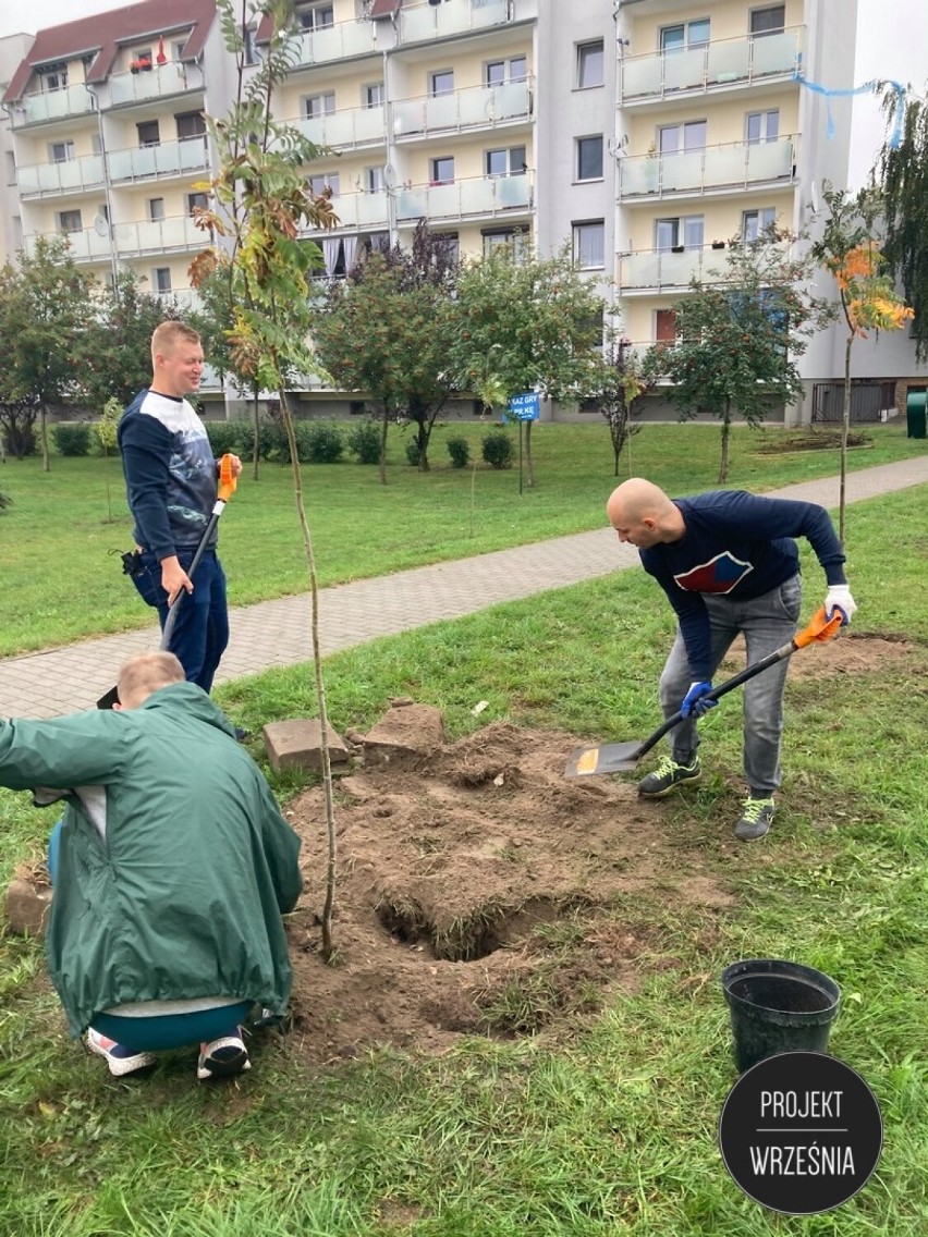 WRZEŚNIA: Stowarzyszenie Projekt Września wraz z wolontariuszami posadzili 60 drzew [FOTO]