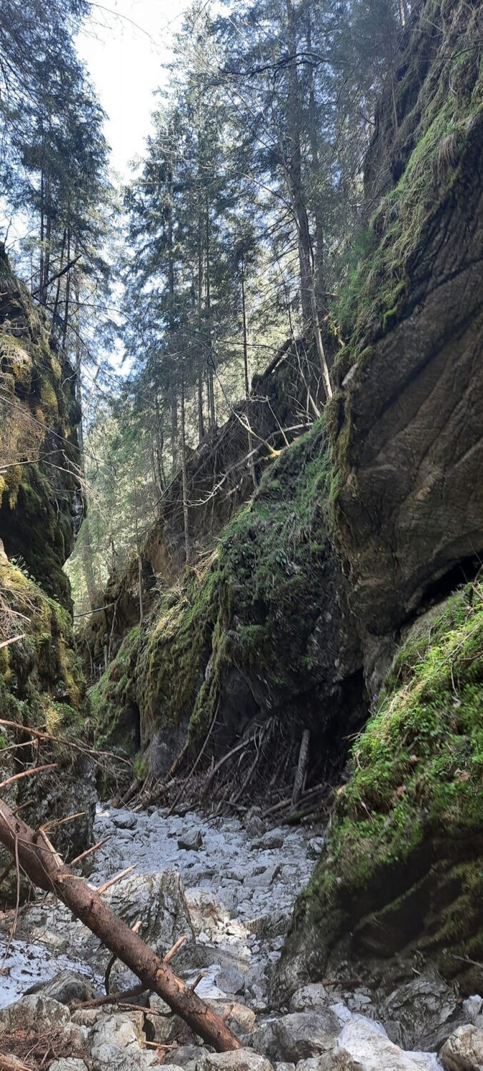 Tatry. Wiosenna wycieczka po pustej i pełnej atrakcji Dolinie Kościeliskiej i nad Smreczyński Staw