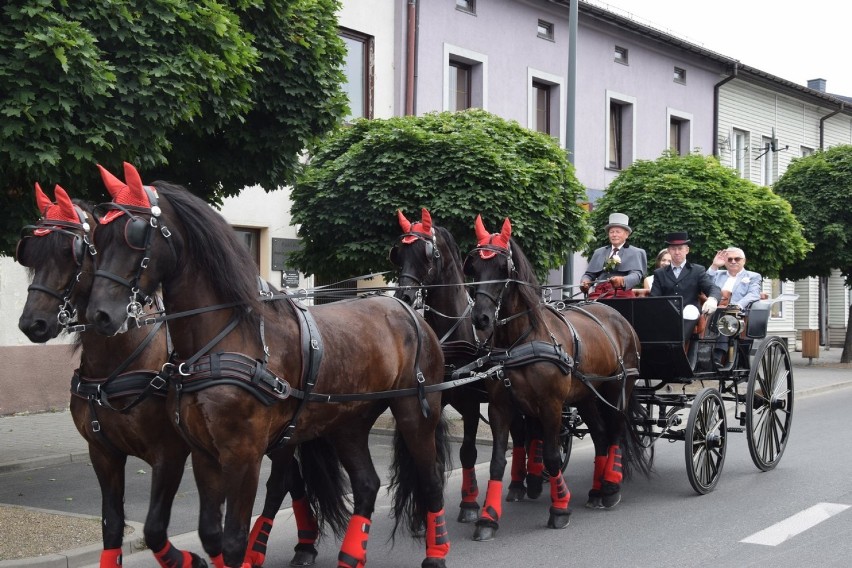 6. Festiwal Róż w Łasku. Piknik rodzinny