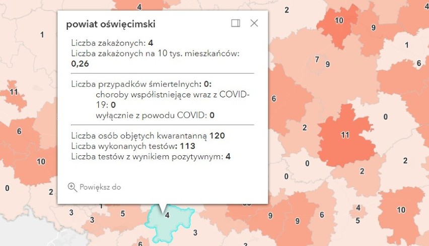 Koronawirus, raport 20 października 2021. Niski - jeszcze - przyrost zakażeń w Oświęcimiu, Olkuszu, Wadowicach i Chrzanowie