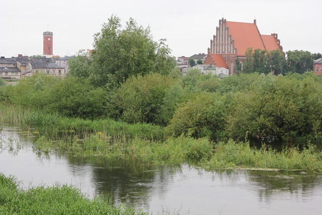 Koło. Warta przekroczyła stan alarmowy [ZDJĘCIA]