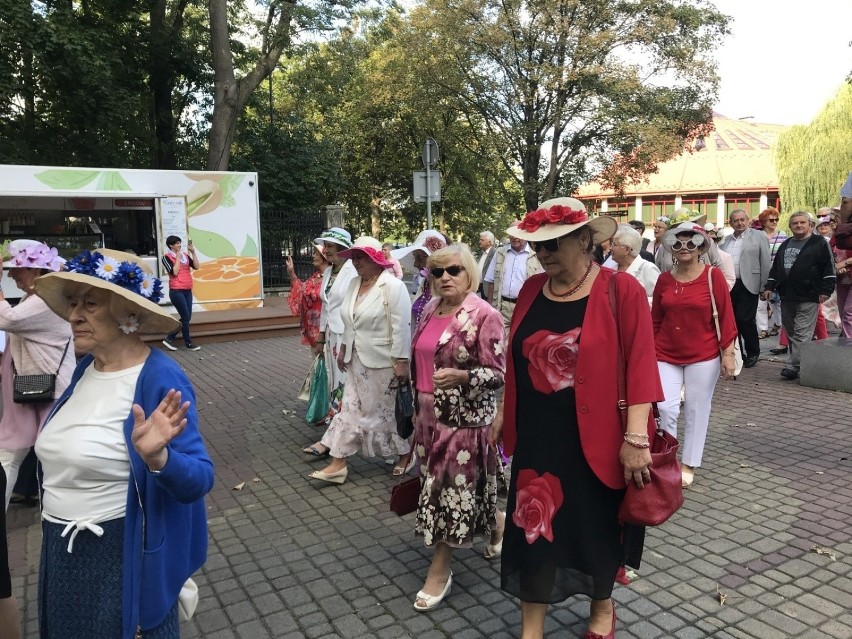 Seniorzy świętują w Busku-Zdroju. Niezwykły marsz kapeluszowy - ale to było widowisko! (ZDJĘCIA)