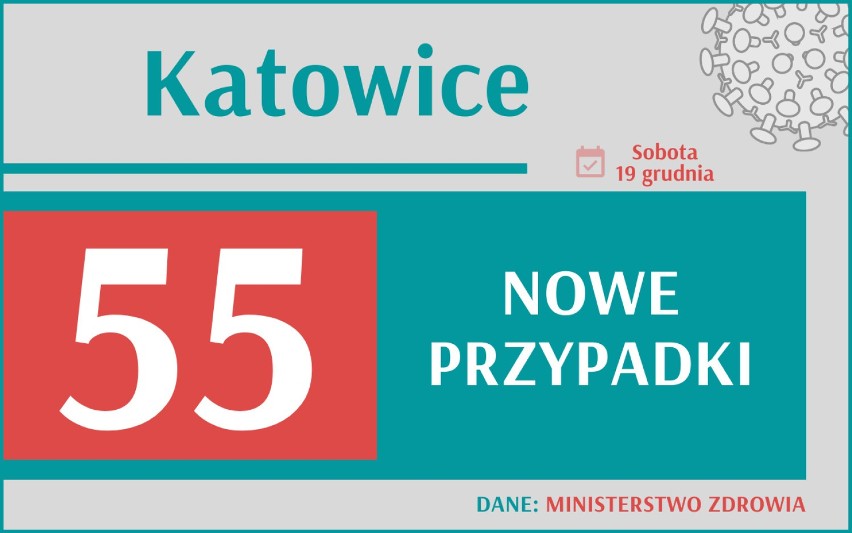 Koronawirus - śmiertelność wciąż wysoka. Zmarło blisko 500 osób w Polsce. Gdzie w Śląskiem jest najwięcej nowych zakażeń?