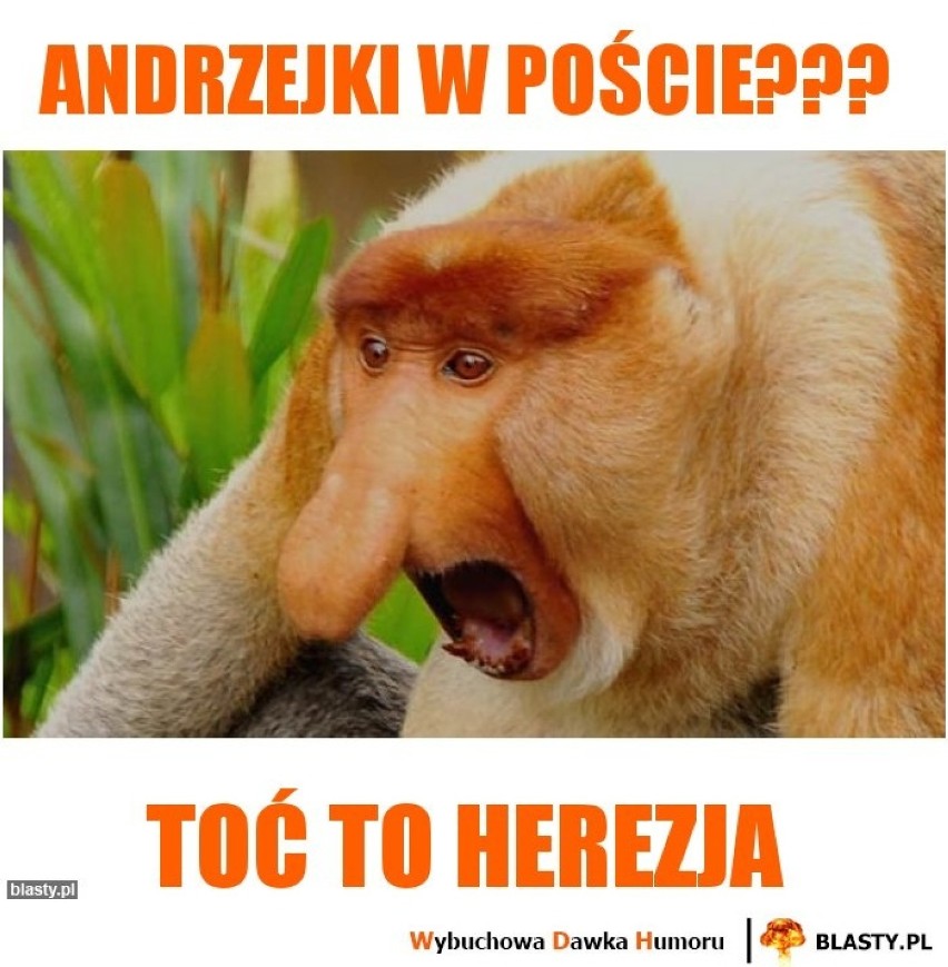 Andrzejki MEMY: Dziś wszyscy jesteśmy Andrzejami. Nastał...